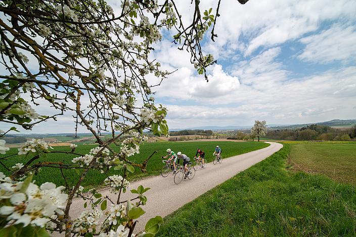 7. Kirschblüten Radklassik, Rad Klassik, Oldtimer, Vintage, Stahlrad, Radsport, Eferding, Oberösterreich
