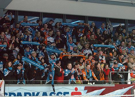Die Linzer Fans feiern das 4 zu 1 über Salzburg.
Die Linzer Fans feiern das 4 zu 1 über Salzburg.
Die Linzer Fans feiern das 4 zu 1 Ã¼ber Salzburg.