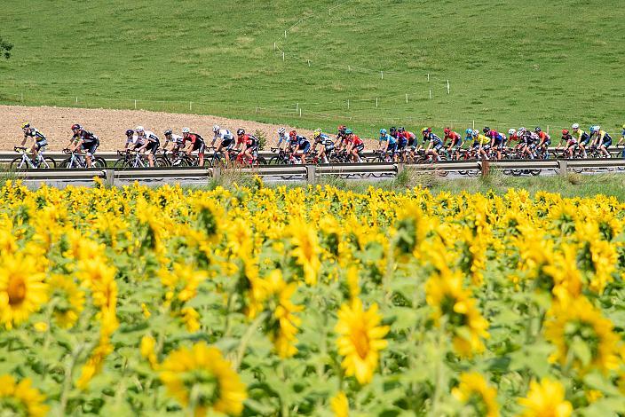  Bad Wimsbach - Strass im Attergau, Int. "Keine Sorgen" Junioren Rundfahrt UCI Kat. 2.1 MJ