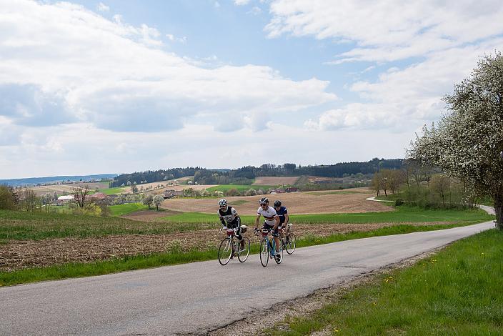 7. Kirschblüten Radklassik, Rad Klassik, Oldtimer, Vintage, Stahlrad, Radsport, Eferding, Oberösterreich