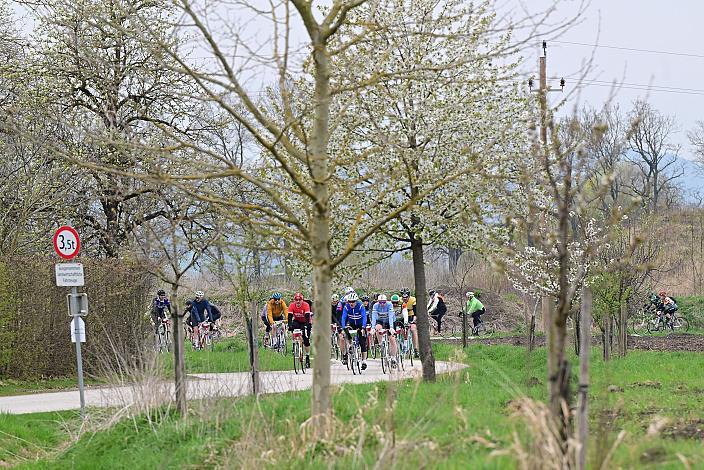 10. Kirschblüten Radklassik, Rad Klassik, Oldtimer, Vintage, Stahlrad, Radsport, Eferding, Oberösterreich