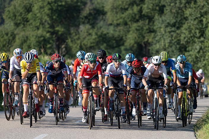 Das Peleton mit Benjamin Eckerstorfer (AUT, Team Österreich) am Mistelbacher Berg,  Int. "Keine Sorgen" Junioren Rundfahrt UCI Kat. 2.1 MJ