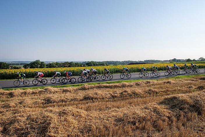 Das Feld am Weg nach Marchtrenk 46. Int. Keine Sorgen,  Junioren Rundfahrt UCI Kat. MJ 2.1, 1. Etappe Haid/Ansfelden - Marchtrenk