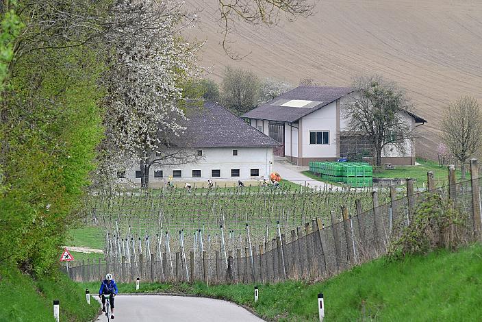 10. Kirschblüten Radklassik, Rad Klassik, Oldtimer, Vintage, Stahlrad, Radsport, Eferding, Oberösterreich