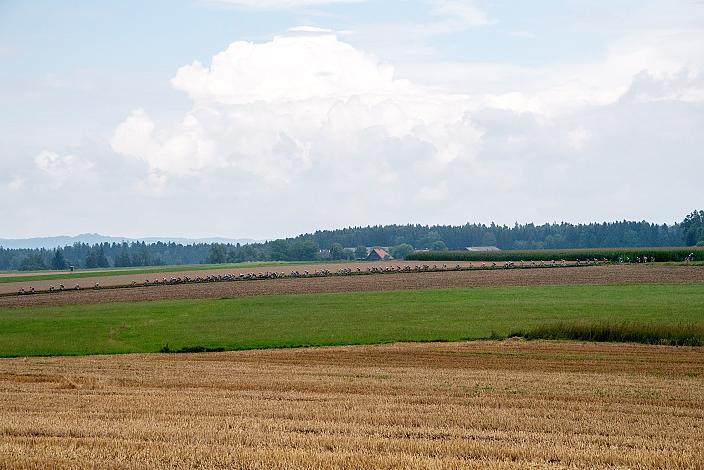50. OÖ Junioren Rundfahrt, 3. Etappe Bad Wimsbach Strass im Attergau