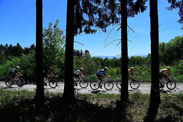 Herren Elite, U23, Road Cycling League Austria
