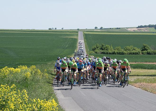  Das Feld der Burgenlandrundfahrt