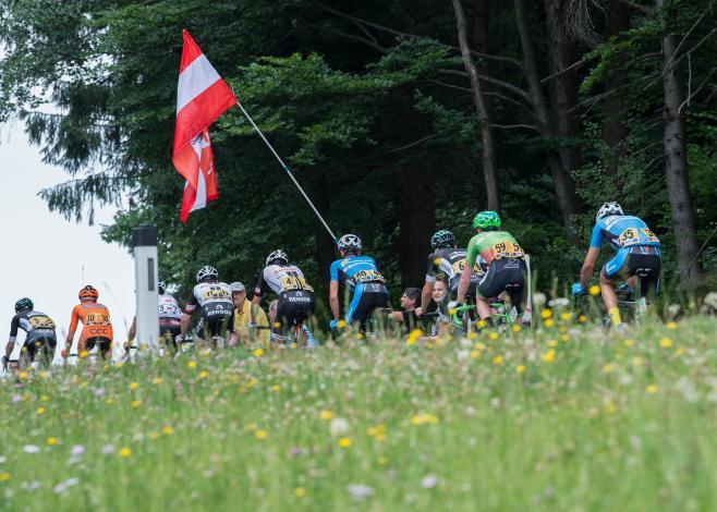 Das Feld der Fahrer vor der BW Dimbach Rad Staatsmeisterschaft, Elite Herren, Grein an der Donau