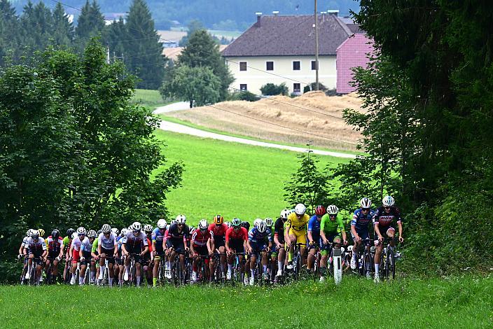Im Gelben Trikot des Gesamtführenden Jasper Verbrugge (BEL, Acrog-Tormans), 50. OÖ Junioren Rundfahrt, 2. Etappe Sarleinsbach - Sarleinsbach