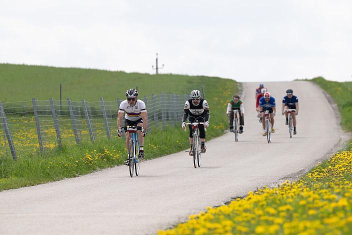 7. Kirschblüten Radklassik, Rad Klassik, Oldtimer, Vintage, Stahlrad, Radsport, Eferding, Oberösterreich