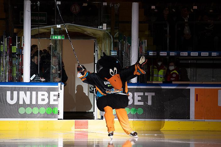 Das Steinbach Blackwings Linz Maskottchen Gonzo Steinbach Black Wings Linz vs HK SZ OLIMPIJA, bet-at-home ICE Hockey League