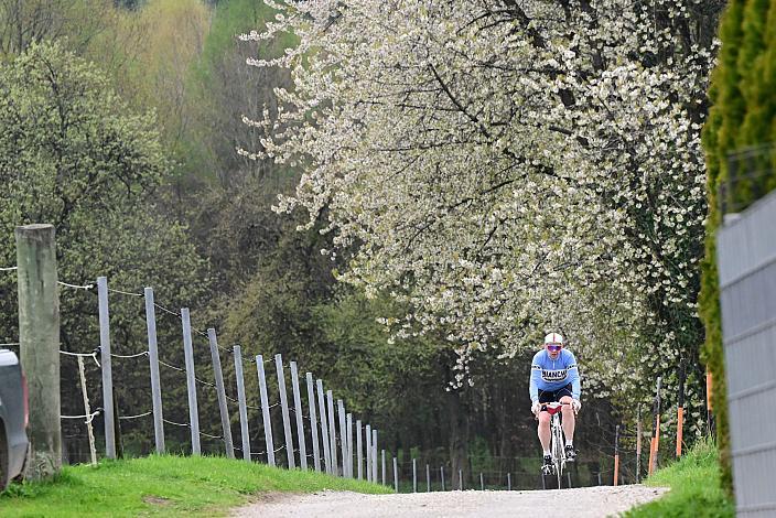 10. Kirschblüten Radklassik, Rad Klassik, Oldtimer, Vintage, Stahlrad, Radsport, Eferding, Oberösterreich