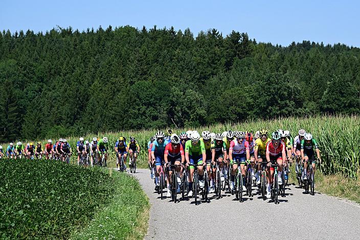 Niklas Wiesmayr (AUT, Österreich), 2. Etappe,  51. Int. Oberösterreich Junioren Rundfahrt, Eberstalzell - Eberstalzell