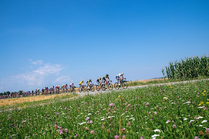 Der Gesamtsieger im Gelben Trikot Frank Aron Ragilo (EST, Cannibal Team), Bad Wimsbach - Strass im Attergau, Int. "Keine Sorgen" Junioren Rundfahrt UCI Kat. 2.1 MJ