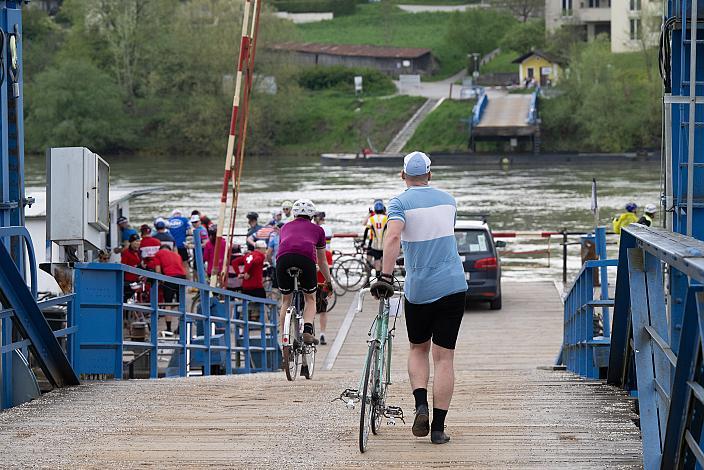 7. Kirschblüten Radklassik, Rad Klassik, Oldtimer, Vintage, Stahlrad, Radsport, Eferding, Oberösterreich