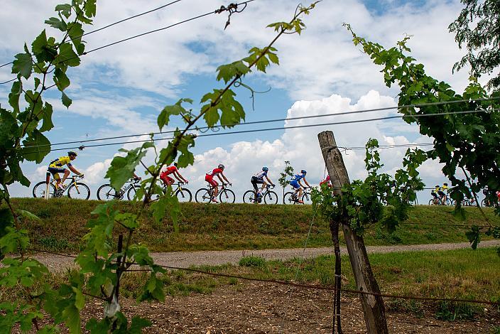 8. Etappe Podersdorf, Burgenland - Wien