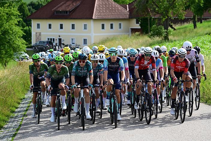 Das Peloton unterwegs im Traunviertel  3. Etappe Asten - Bad Schallerbach, Oberösterreich Rundfahrt