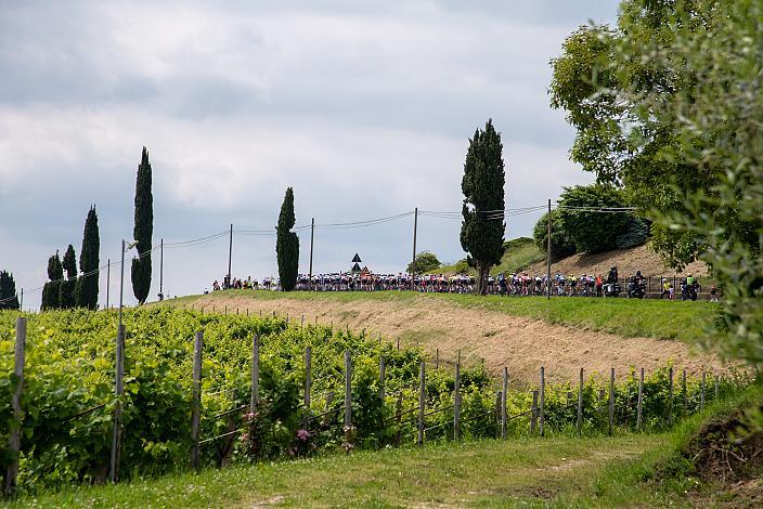 das Feld des Giro in der Prosecco Region, 108. Giro d Italia, Stage 14, Fiume Veneto - Asiago (219km)