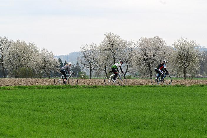 10. Kirschblüten Radklassik, Rad Klassik, Oldtimer, Vintage, Stahlrad, Radsport, Eferding, Oberösterreich