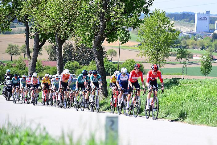 Herren Elite, U23, Road Cycling League Austria, 63. Raika Kirschbluetenrennen, Wels, Oberösterreich
