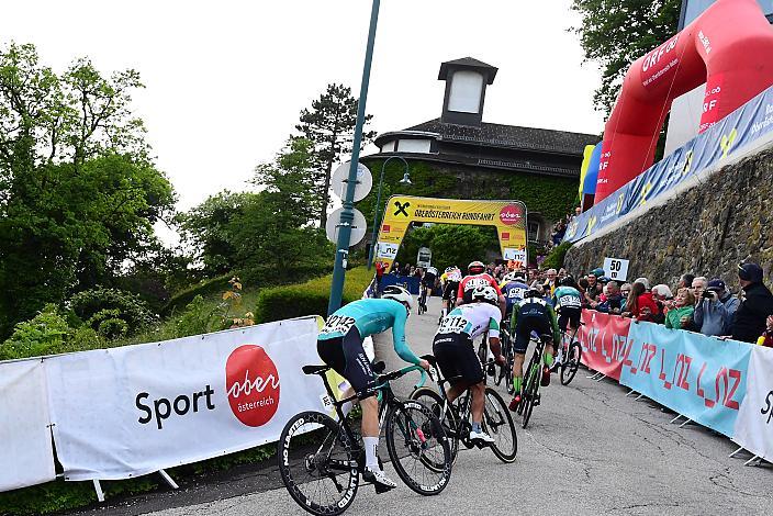 1. Etappe Linz - Pöstlingberg, 15. Int. Raiffeisen OÖ-Radrundfahrt UCI Kat. 2.2