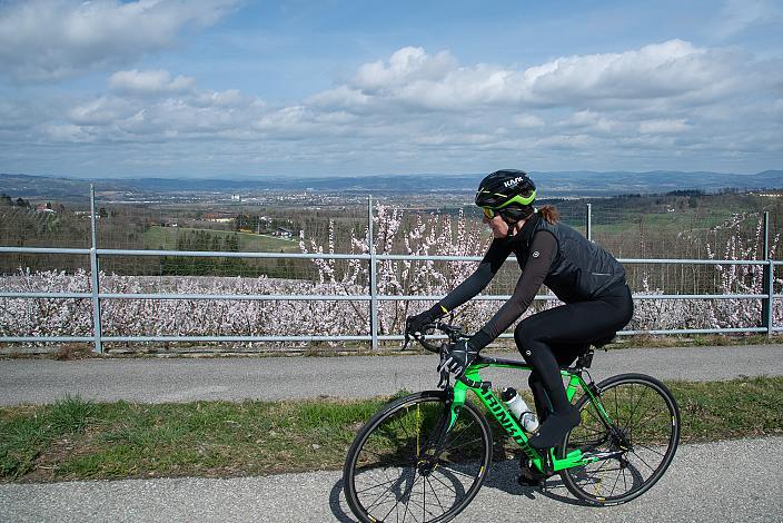 Rennrad, Frühling, Oberösterreich, 