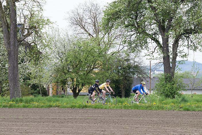 7. Kirschblüten Radklassik, Rad Klassik, Oldtimer, Vintage, Stahlrad, Radsport, Eferding, Oberösterreich