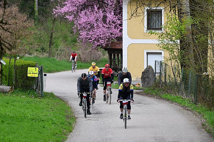 10. Kirschblüten Radklassik, Rad Klassik, Oldtimer, Vintage, Stahlrad, Radsport, Eferding, Oberösterreich