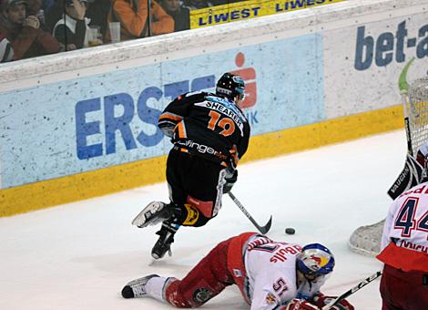 Rob Shearer Liwest Black Wings Linz narrt die Verteidiger des EC Red Bull Salzburg