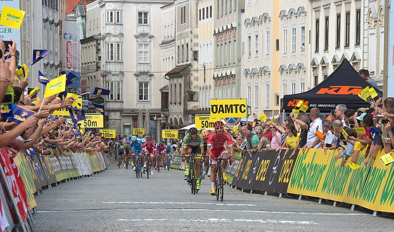 Clement Venturini (FRA, Cofidis, Solution Credits)