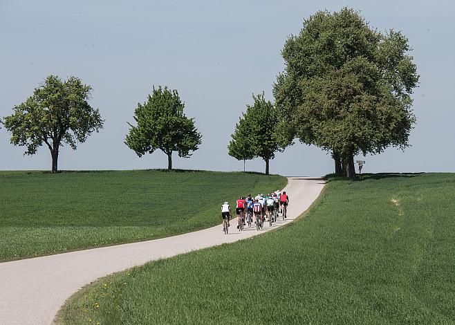 Kirschblüten Radklassik
KirschblÃ¼ten Radklassik