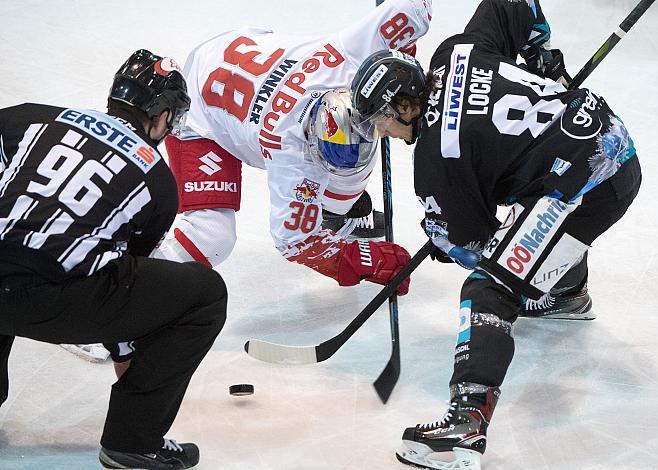 Corey Locke (EHC Liwest Black Wings Linz) und Dario Winkler (EC Red Bull Salzburg) EHC Liwest Black Wings Linz vs EC Red Bull Salzburg