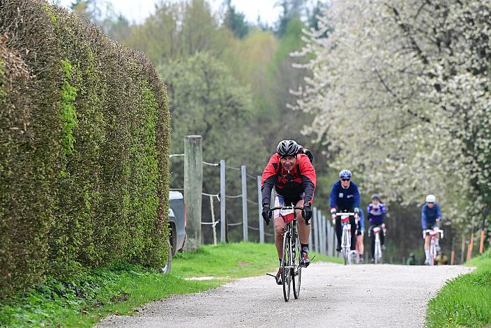 10. Kirschblüten Radklassik, Rad Klassik, Oldtimer, Vintage, Stahlrad, Radsport, Eferding, Oberösterreich