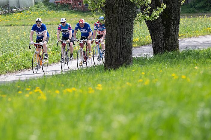 7. Kirschblüten Radklassik, Rad Klassik, Oldtimer, Vintage, Stahlrad, Radsport, Eferding, Oberösterreich