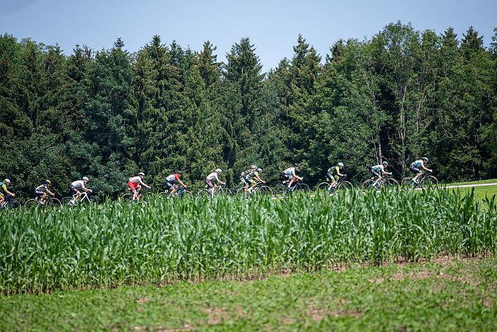 Das Feld der Fahrer im Anstieg Bergwertung Wald 46. Int. Keine Sorgen,  Junioren Rundfahrt UCI Kat. MJ 2.1, 3. Etappe Bad Wimsbach/Neydharting - Strass im Attergau