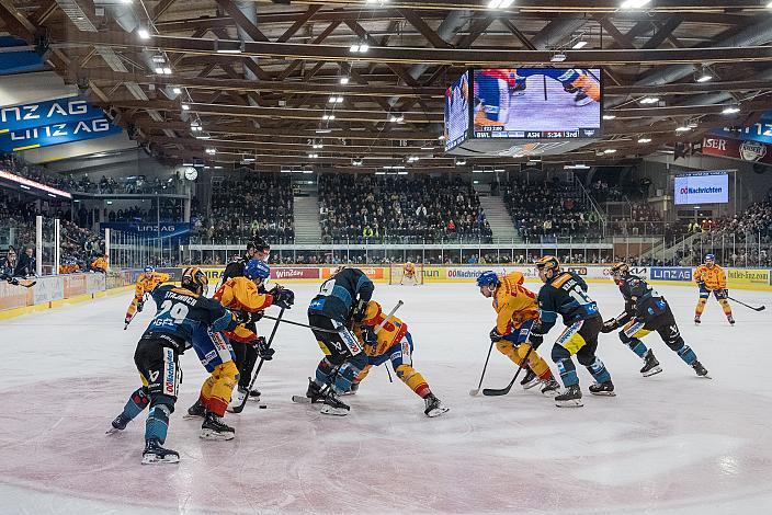 Steinbach Black Wings Linz vs Migross Supermercati Asiago Hockey 1935, Linz AG Eisarena 