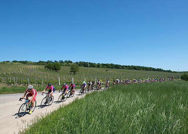  Das Feld der Burgenlandrundfahrt