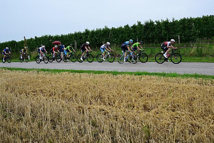 Das Peloton am Mistelbacherberg, 50. OÖ Junioren Rundfahrt, 1. Etappe Marchtrenk - Marchtrenk