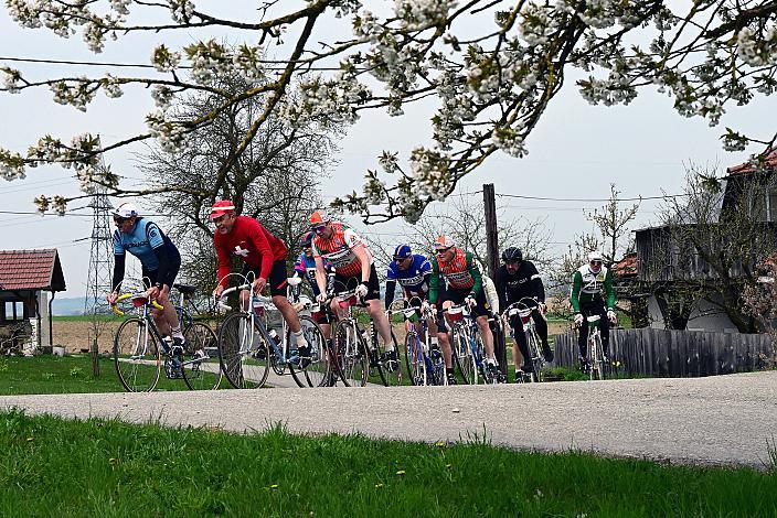 9. Kirschblüten Radklassik, Rad Klassik, Oldtimer, Vintage, Stahlrad, Radsport, Eferding, Oberösterreich