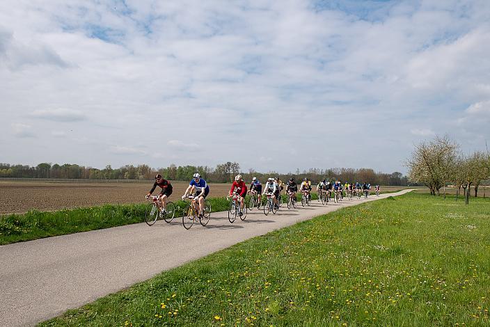 7. Kirschblüten Radklassik, Rad Klassik, Oldtimer, Vintage, Stahlrad, Radsport, Eferding, Oberösterreich