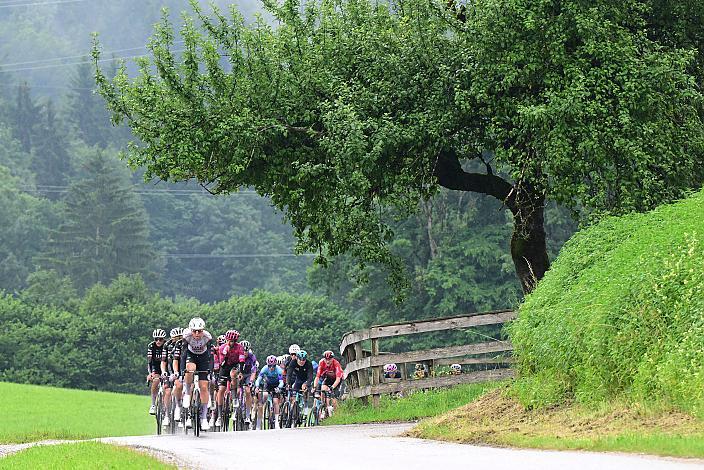 Das Peloton am Gaisberg angeführt von  Florian Vermeeersch (BEL, UAE Team Emirates - XRG), 3. Etappe Salzburg - Gaisberg,  Tour of Austria