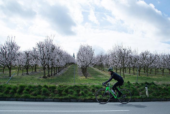 Rennrad, Frühling, Oberösterreich, 