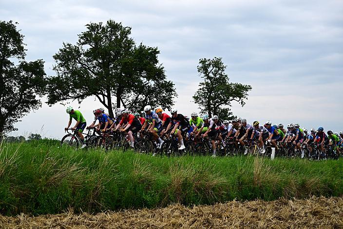 50. OÖ Junioren Rundfahrt, 1. Etappe Marchtrenk - Marchtrenk