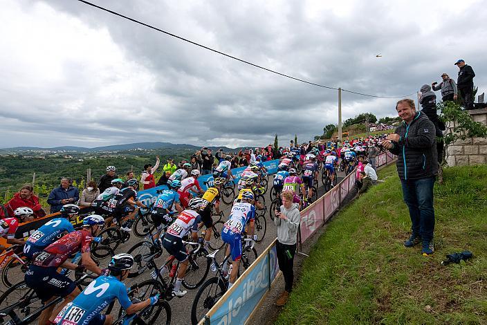 Das Feld klettert zur Bergwertung Gornje Cerovo in Slowenien Stage 15 Grado - Gorizia (147km), 104. Giro d Italia, UCI Worl Tour