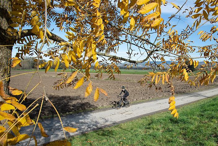 Radtour im Traunviertel, Naturpark Obsthügelland, Kirschblüten Radklassik, Oberösterreich
