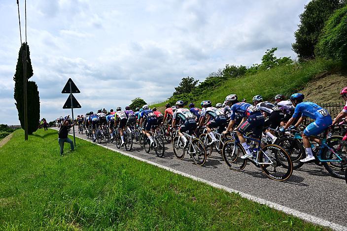 das Feld des Giro in der Prosecco Region, 108. Giro d Italia, Stage 14, Fiume Veneto - Asiago (219km)