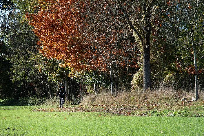 Radtour im Traunviertel, Naturpark Obsthügelland, Kirschblüten Radklassik, Oberösterreich