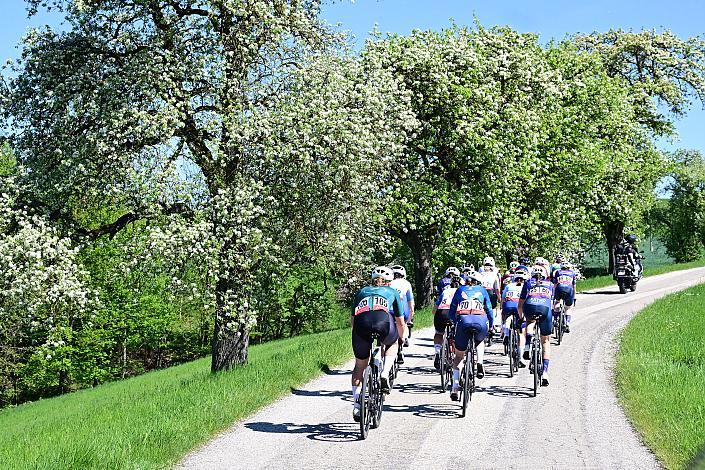Damen Elite, U23, Road Cycling League Austria, 64. Raika Kirschbluetenrennen, Wels, Oberösterreich