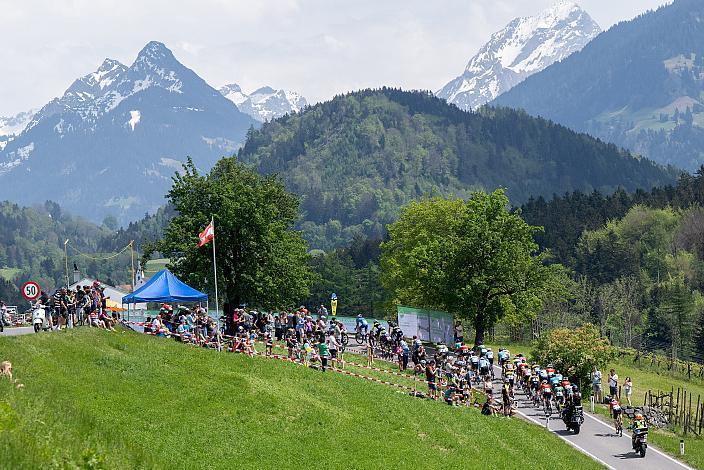 Herren Elite, U23, Road Cyling League Austria, Radliga, GP Vorarlberg, Nenzing
