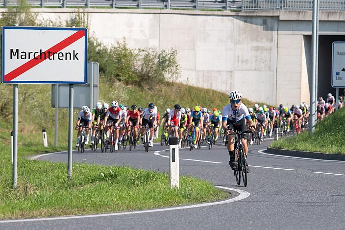 Das Feld bei Marchtrenk 46. Int. Keine Sorgen,  Junioren Rundfahrt UCI Kat. MJ 2.1, 1. Etappe Haid/Ansfelden - Marchtrenk
